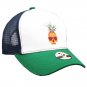 Mens Womens Pineapple Dad Hat Baseball Cap