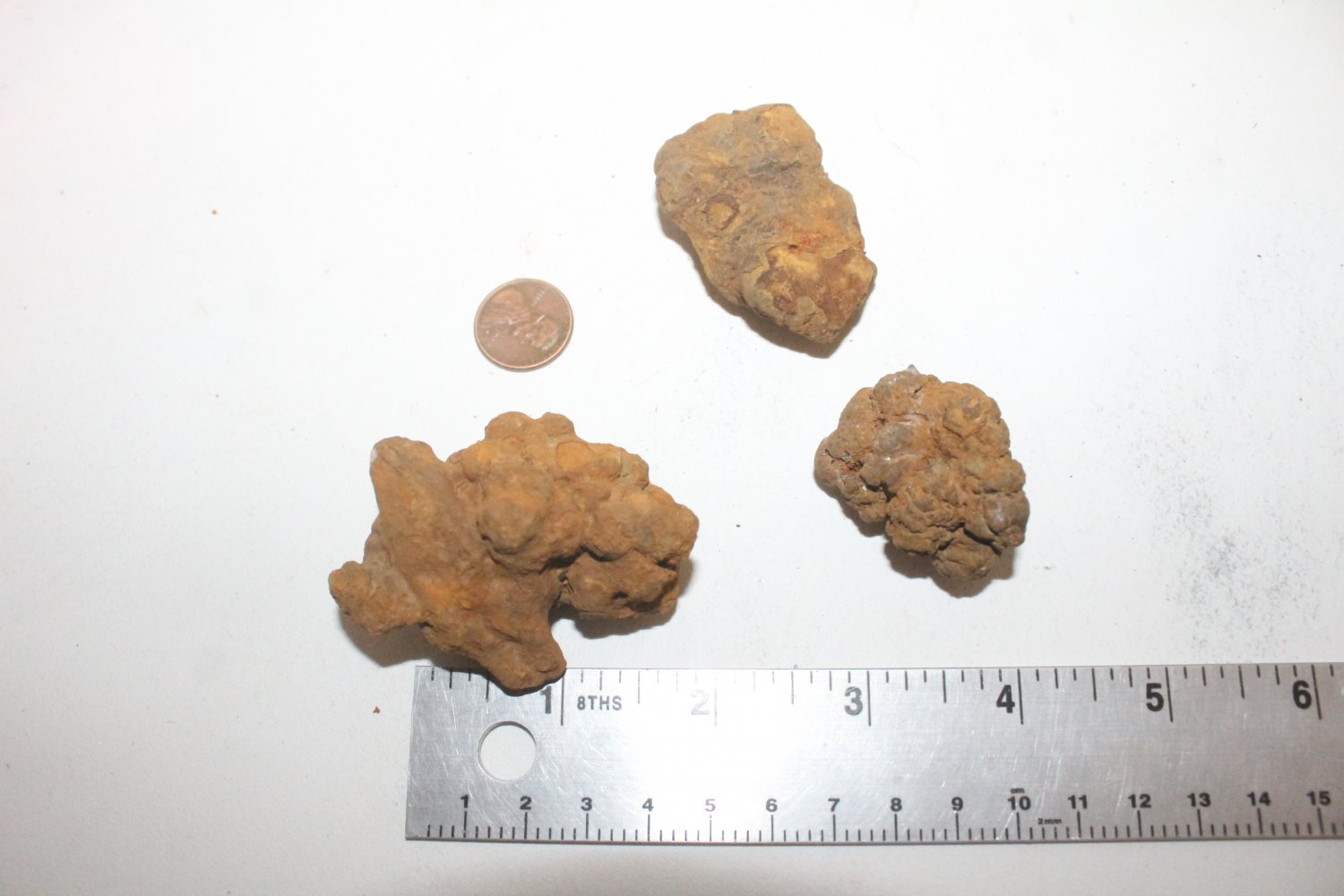 coprolite price