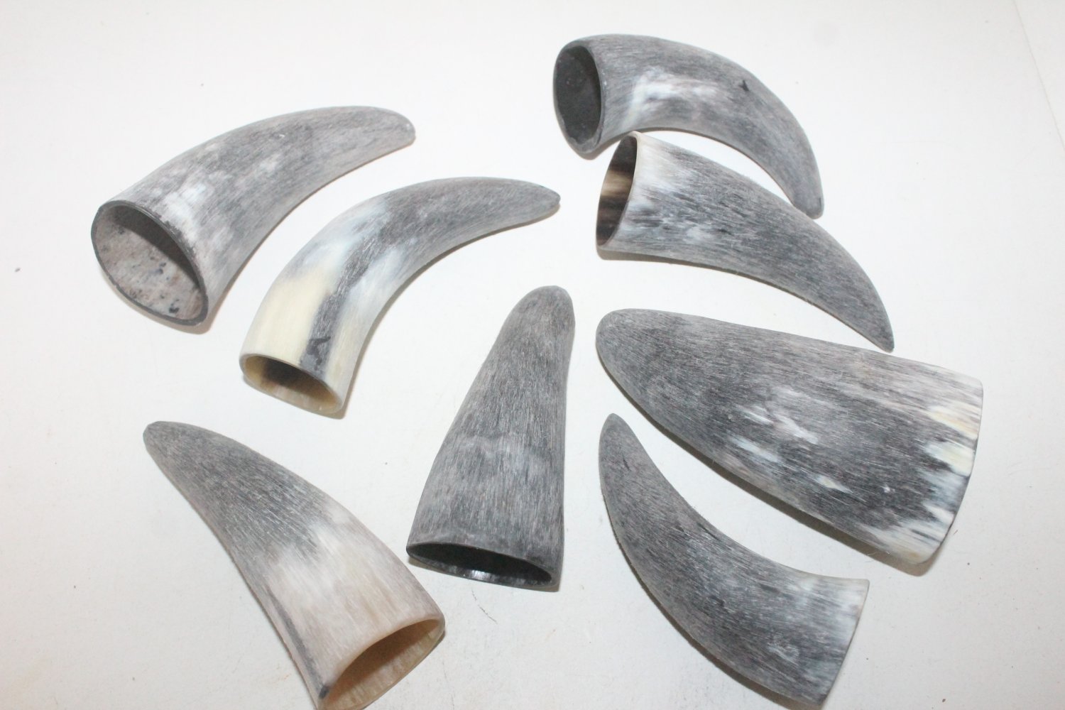 8 Cow horn tips 109 Raw unfinished cow horns