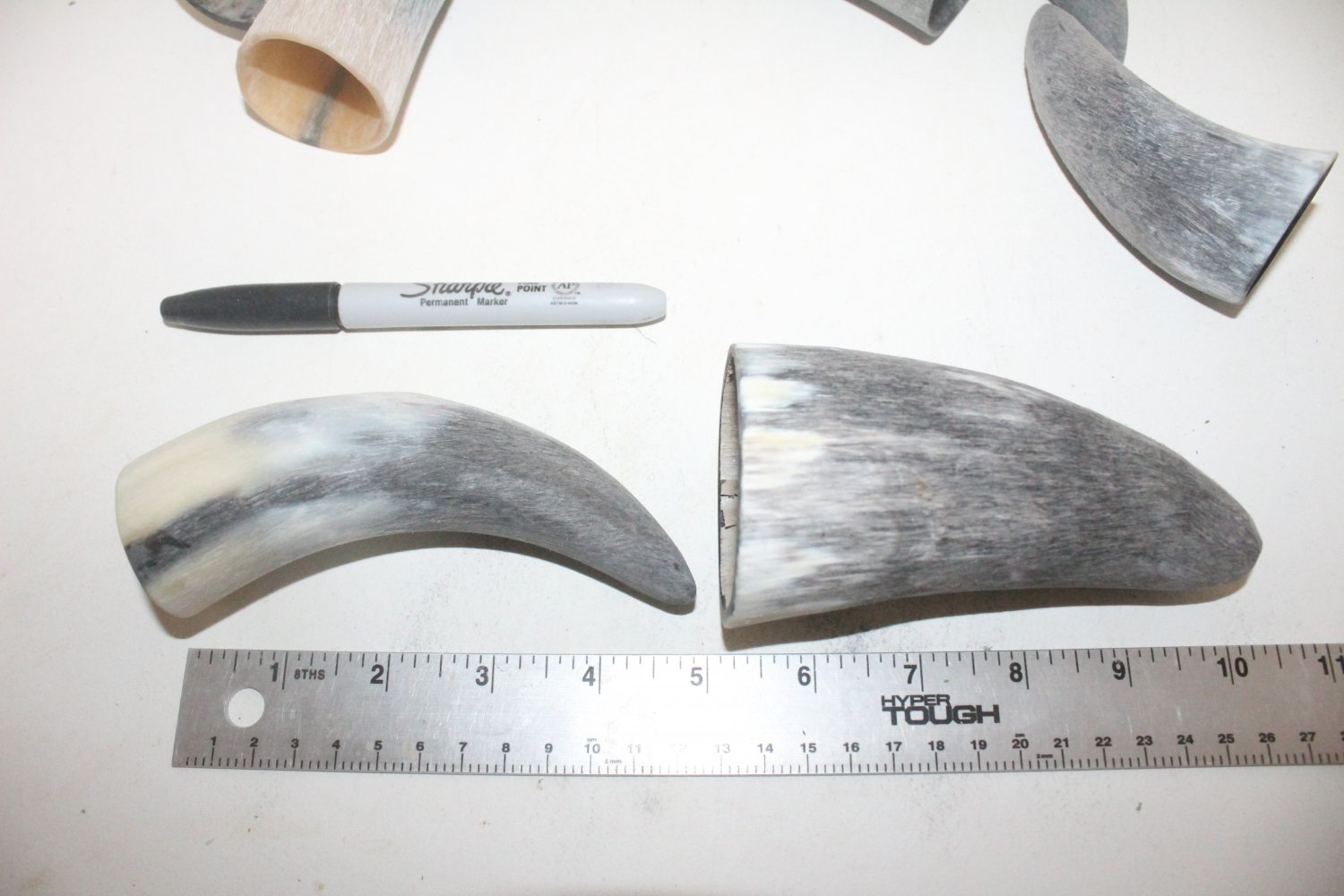 8 Cow horn tips 109 Raw unfinished cow horns