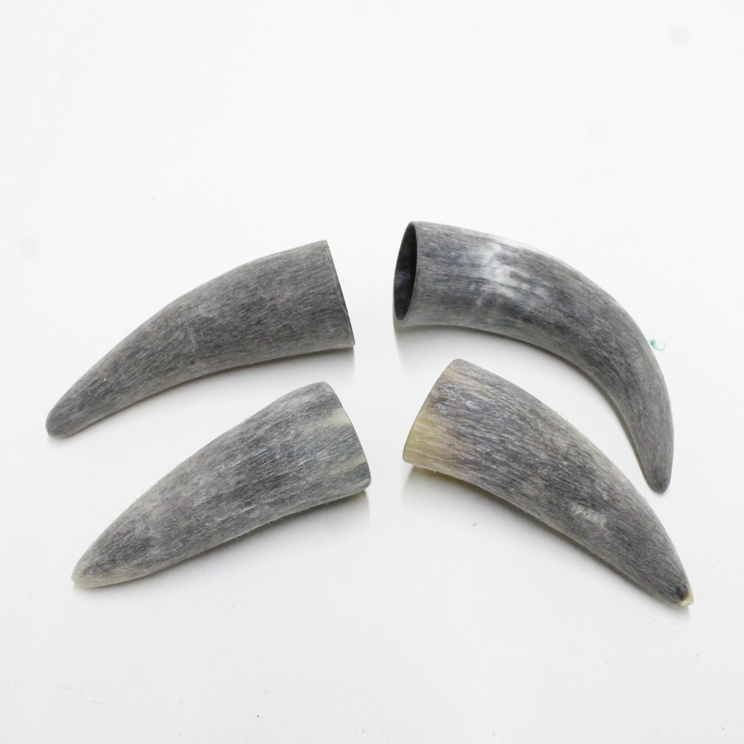 4 Raw Cow horn tips #40N Natural colored rendezvous replica powwow
