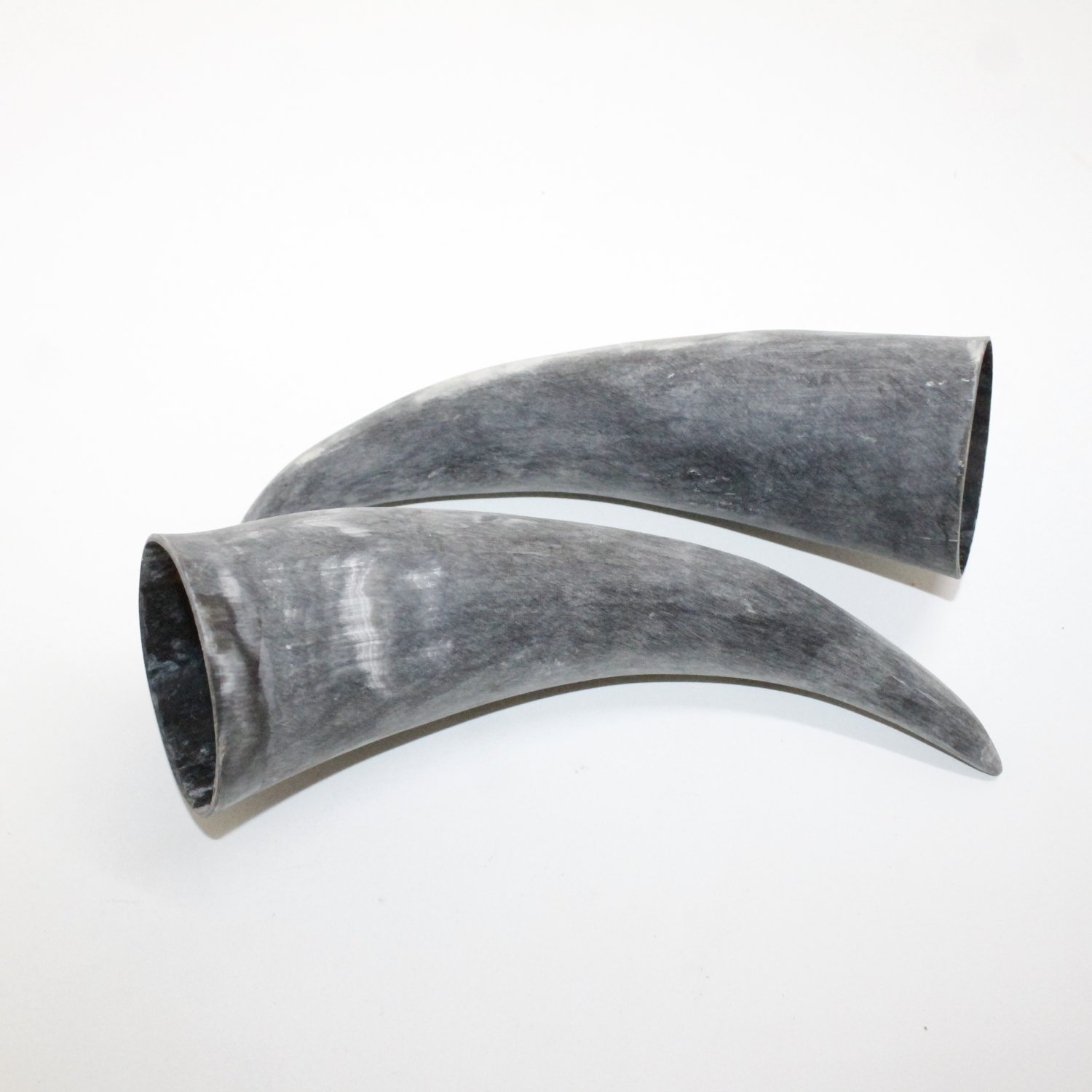 2 Raw Unfinished Cow Horns 20N Natural colored