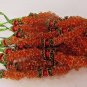 Pavitra Agayaras-Garland-Multicolored-Decorative-for-Prayers-Gods-by-Teknowear