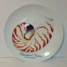 Florida Marketplace Captiva Shell Seashell Starfish Salad Plates set of 4