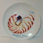 Florida Marketplace Captiva Shell Seashell Starfish Salad Plates set of 4