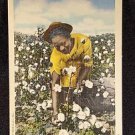 BLACK AMERICANA VINTAGE  POSTCARD PICKING COTTON