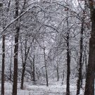 Country Woman - poem