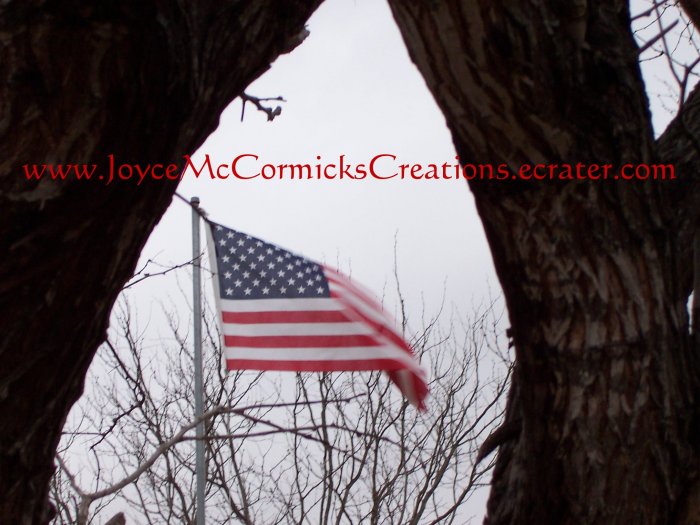 United States Flag