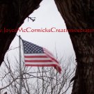 United States Flag