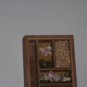 Old Shadow Box with Dried Plants, Beans, Sunflower Seeds and Cutouts