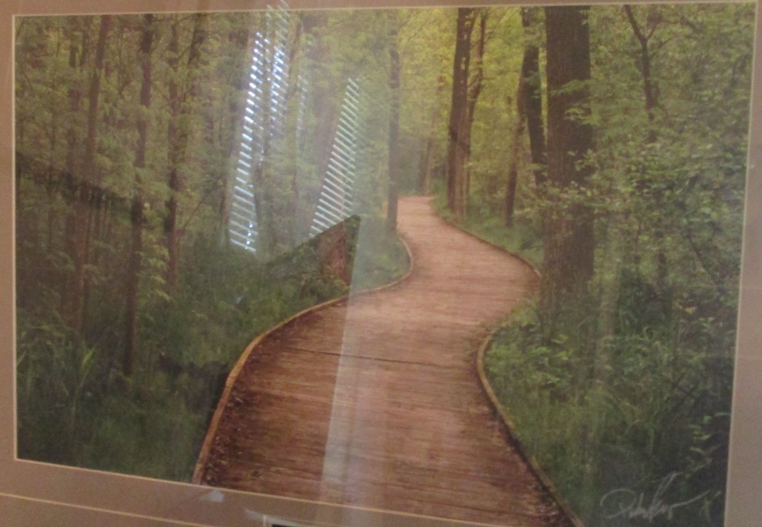 Framed Fine Art Nature Photography Print MEANDERING BOARDWALK Drake Fleege