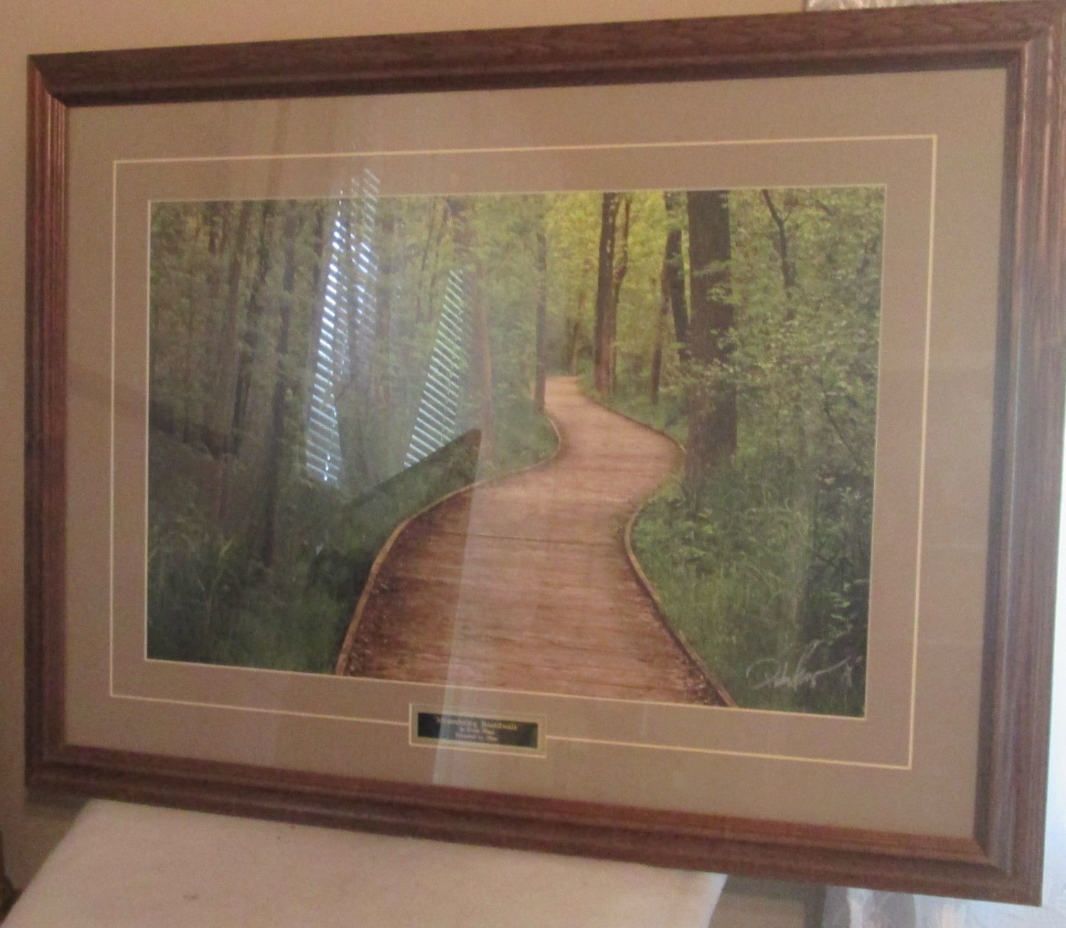 Framed Fine Art Nature Photography Print MEANDERING BOARDWALK Drake Fleege