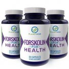 100% Pure FORSKOLIN Extract - Standardised at 40% - Great Weight Loss New