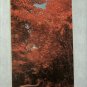 Vintage 1960's Conoco Touraide Road Map,Arkansas,Mississippi,Louisiana,Highways