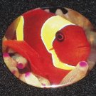 Clown fish on photo badge, pin - F 0001