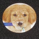 Puppy dog in the snow photo on a badge, pin - D 0002