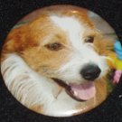 Jack Russell Terrier dog photo on a badge, pin  D 0005