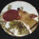 Yellow dog catching a frisbee photo on a badge, pin D 0009