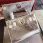 NEW Authentic Dior DIOREVER Silver Bag NIB