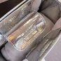 NEW Authentic Dior DIOREVER Silver Bag NIB