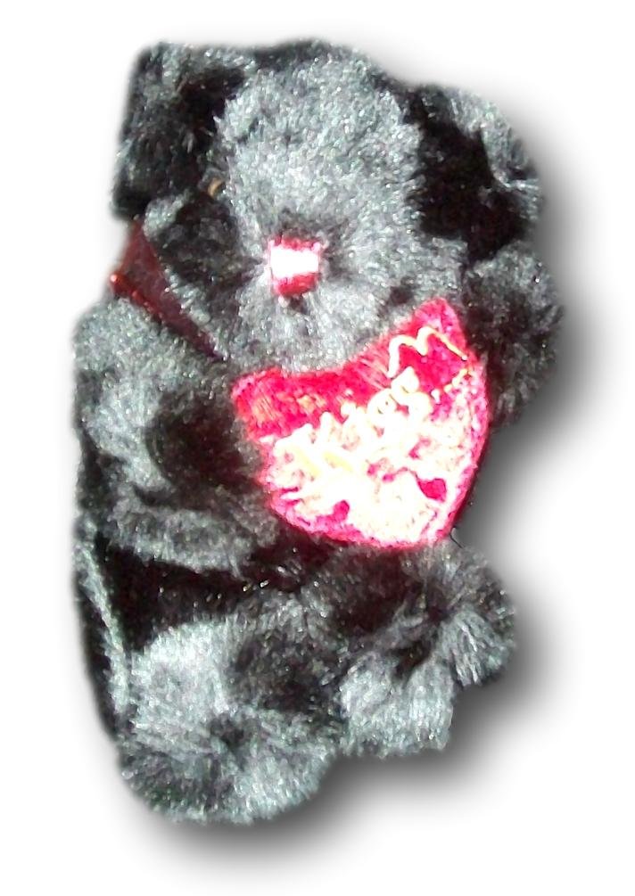 Black Valentine Bear With Red Heart "Kisses" and Bow