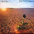 JOHN DAVID SOUTHER  BLACK ROSE  LP DAVID CROSBY JOE WALSH GLENN FREY NM/EX