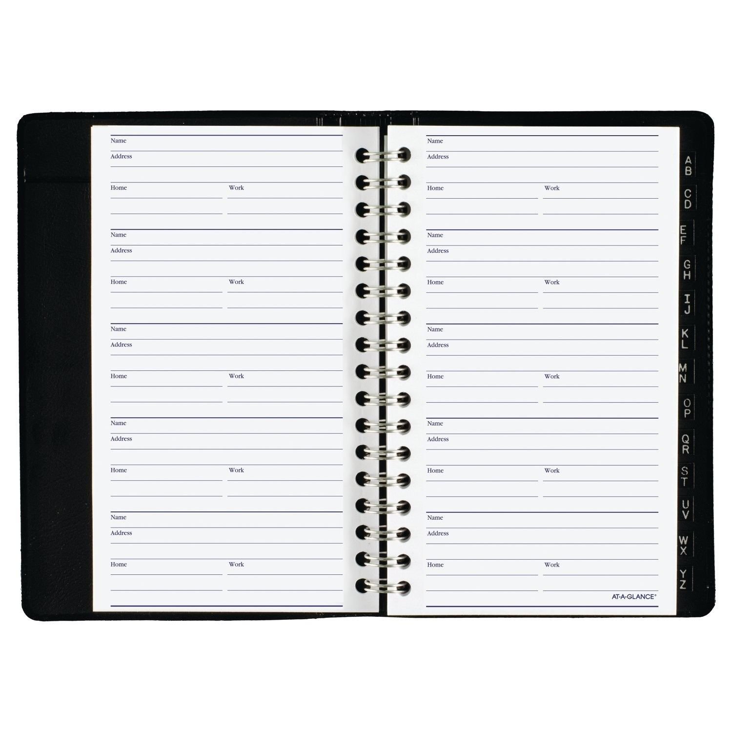 ATAGLANCE DayMinder Weekly Pocket Appointment Book / Planner, January