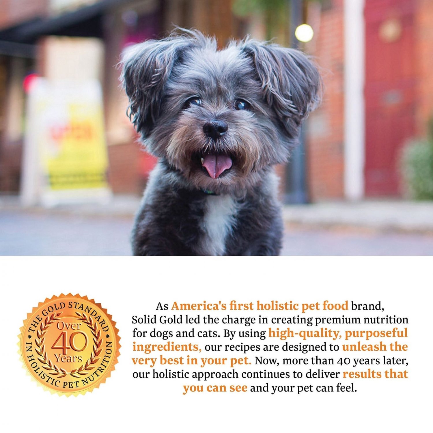 Solid Gold Small & Toy Breed Wet & Dry Dog Food; Mighty Mini GrainFree with