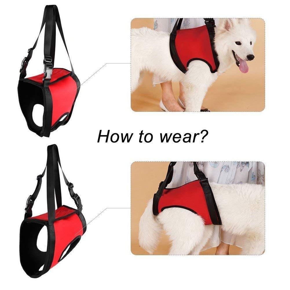 CreaTion Dogs Front & Rear Lift Harness Red Soft Helps Older Dog