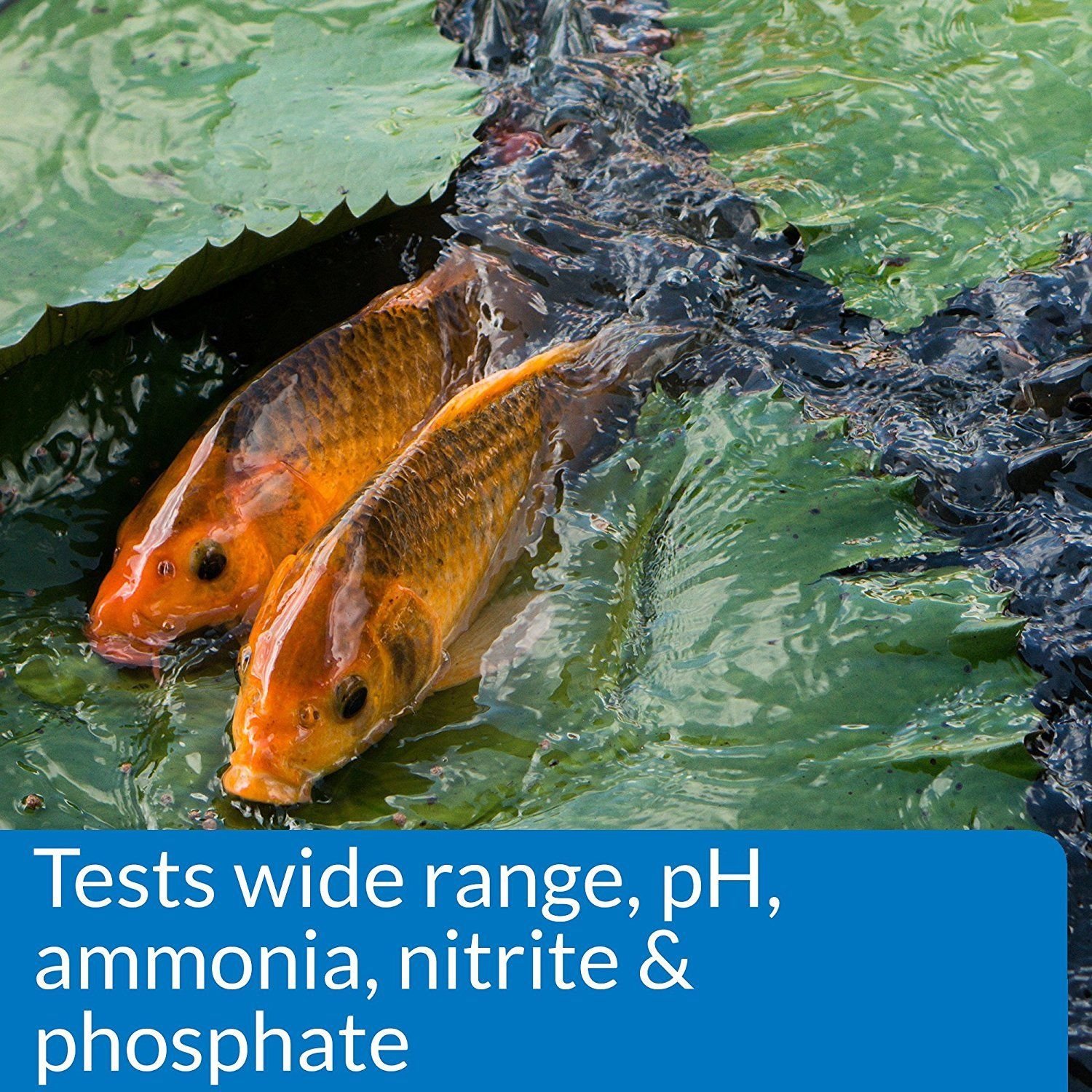 API POND MASTER TEST KIT Pond Water Test Kit 500Test