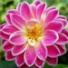 ejewelry808