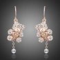 Rose Gold Crystal earrings Bear Motive Rose Plated Austrian Crystals Earrings