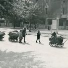 World War II. Cheerless return - 8x10 photo