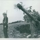 A soldier stands beside a tank that's hidden in some bushes. - 8x10 photo