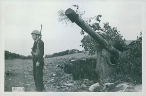 A soldier stands beside a tank that's hidden in some bushes. - 8x10 photo