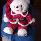 2000 Walmart DAN DEE Christmas Snowflake Teddy Bear Boy 20" ADULT OWNED CLEAN