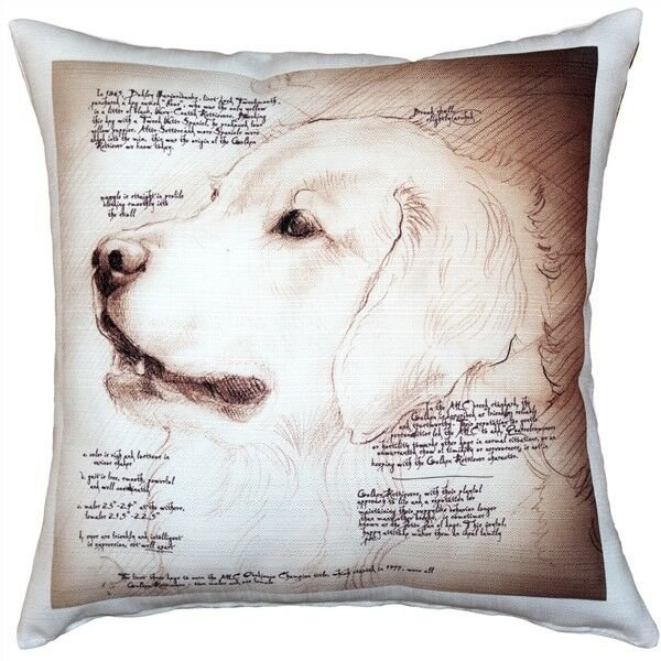 Pillow Decor - Golden Retriever Dog Pillow 17x17 (LE1-0056-01-17)