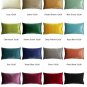 Pillow Decor - Corona Velvet Pillow (12x20, 16x16, 19x19)