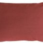 Pillow Decor - Fresh Apples on Brown Rectangular Throw Pillow - AB1-5299-01-94