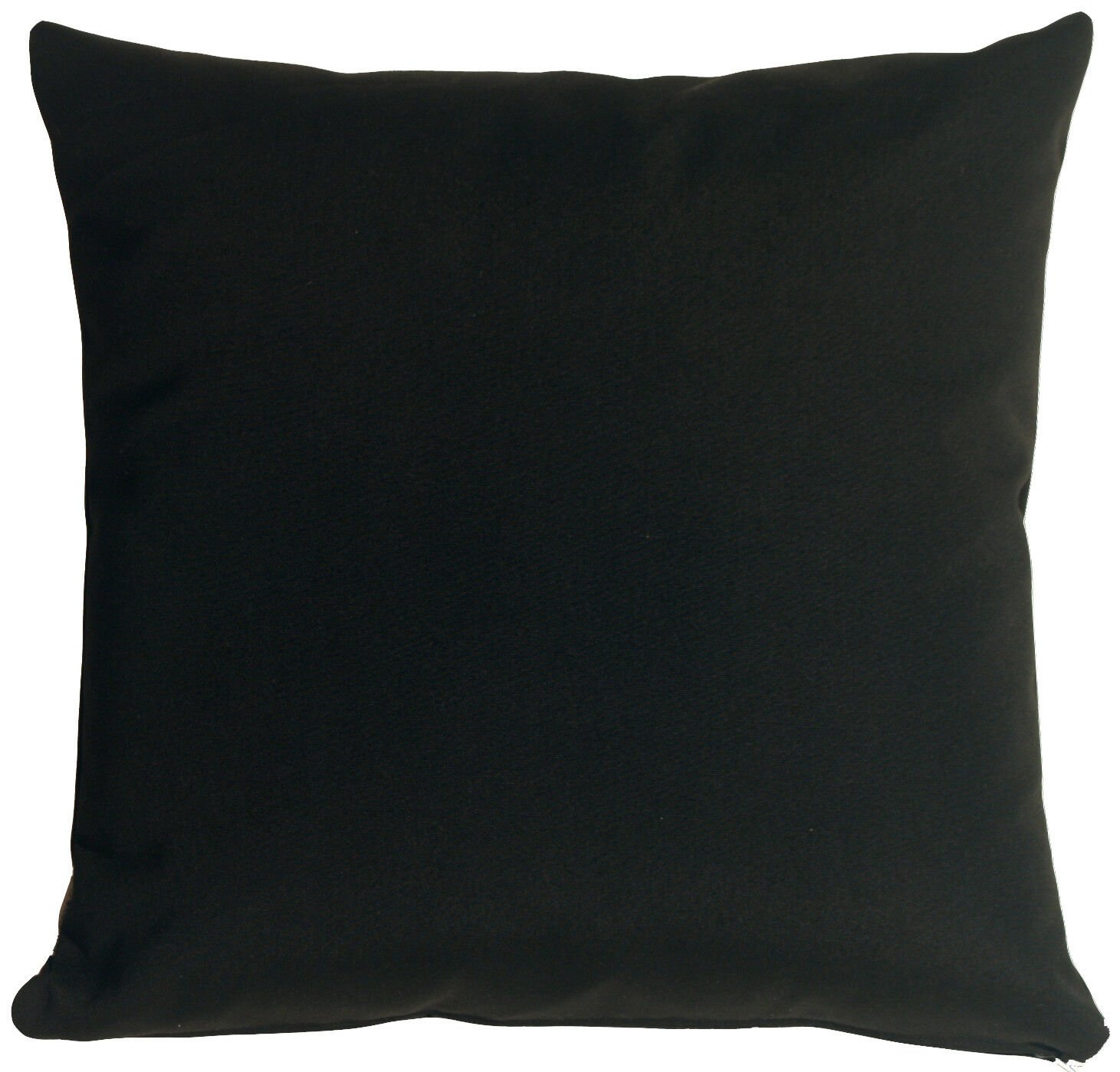 Pillow Decor - Sunbrella Black 20x20 Outdoor Pillow (SKU:PD1-0002-08-20)