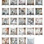 Pillow Decor - Cavalier King Charles Spaniel 17x17 Dog Pillow - LE1-0012-01-17