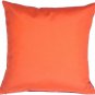 Pillow Decor - Sunbrella Melon 20x20 Outdoor Pillow - SKU: PD1-0002-13-20