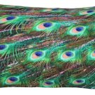 Peacock Tail Throw Pillow 12x20, Complete with Pillow Insert