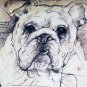 British Bulldog 17x17 Dog Pillow, Complete with Pillow Insert