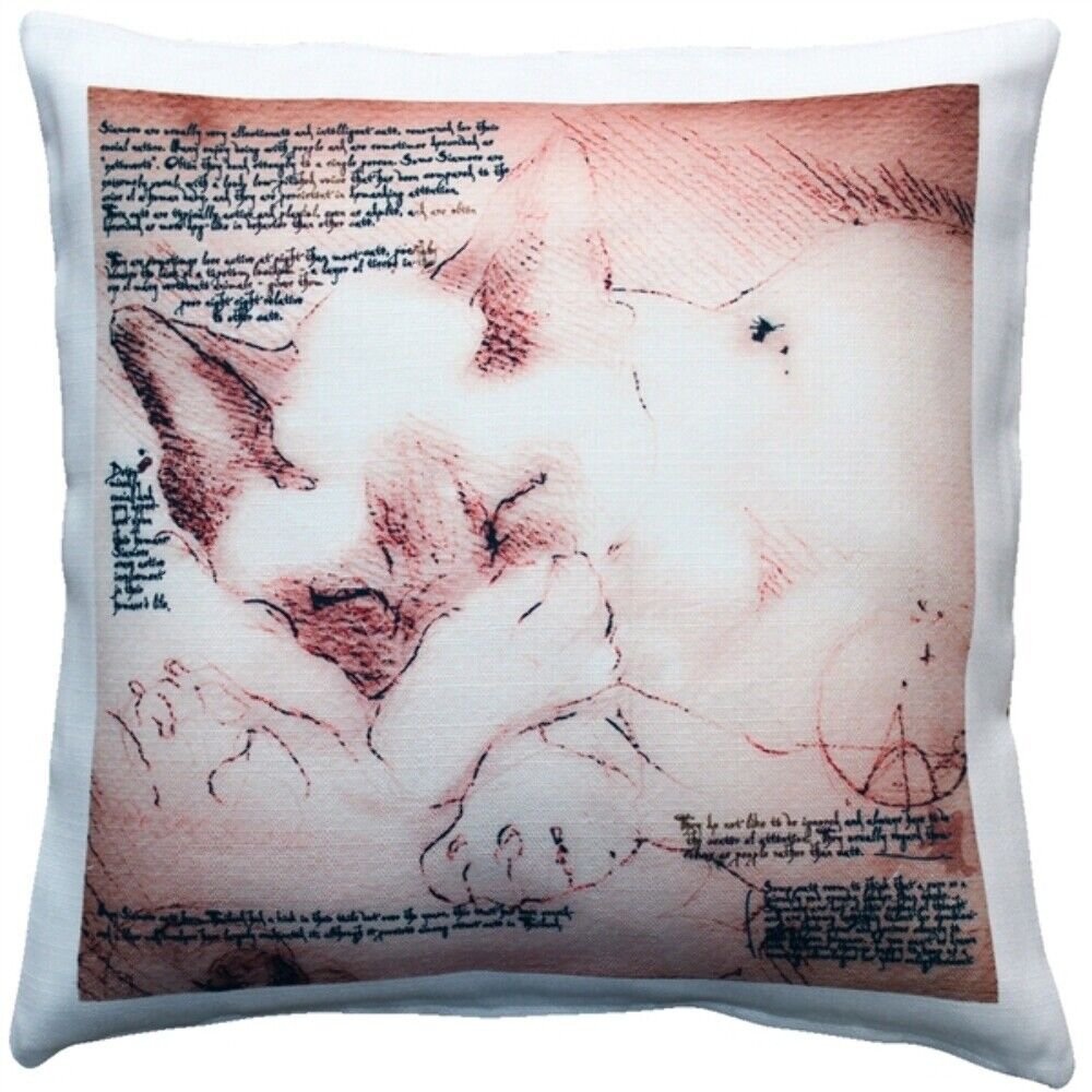 Sleeping Siamese Cat Pillow 17x17, Complete with Pillow Insert