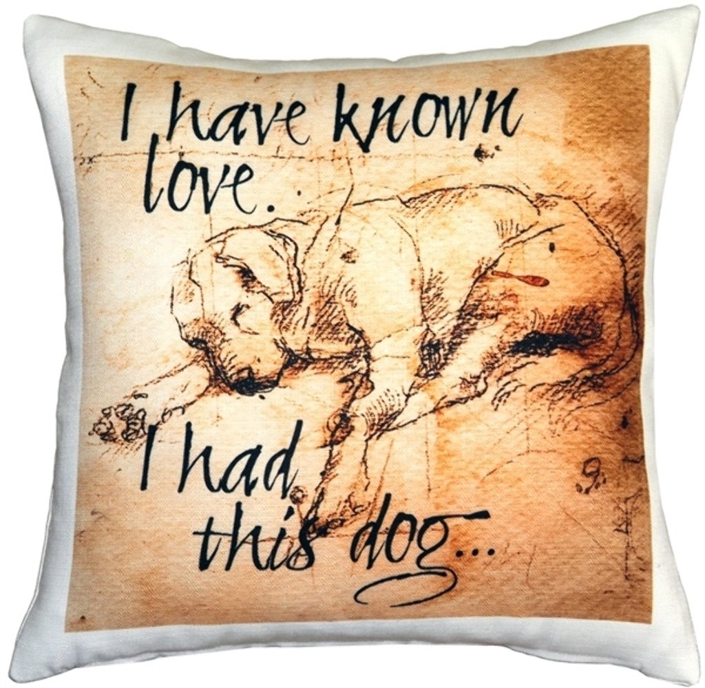 I have Known Love Sleeping Lab 17x17 Dog Pillow, Complete with Pillow Insert
