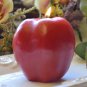 Apple Candle Place Card Holder Wedding Centerpiece
