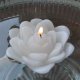 Floating Candles