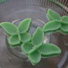 8 Clover Green Floating Butterfly Wedding Party Candles candle