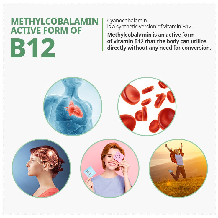 New Atomy Vitamin B Complex Energy And Metabolism